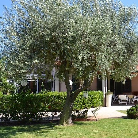 Villa Paola Фонтане Бианче Екстериор снимка